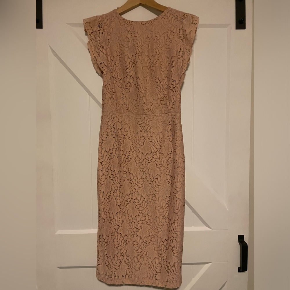 Zara Basic Collection Pink Wedding Lace Dress, Size Small
